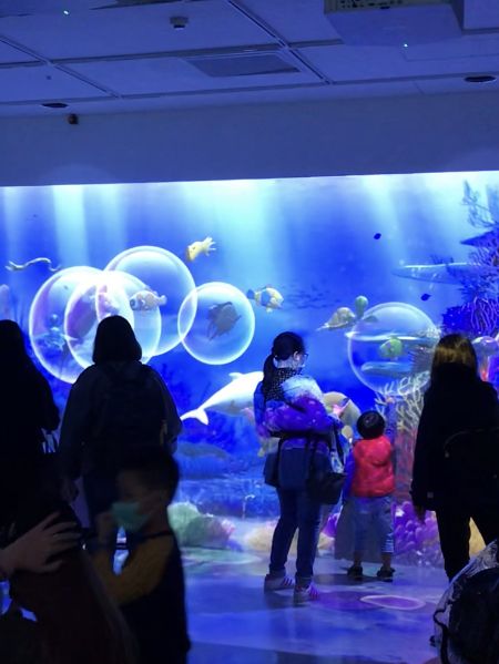 人氣No.1桃園Xpark🐳 科技結合水族館超好玩！