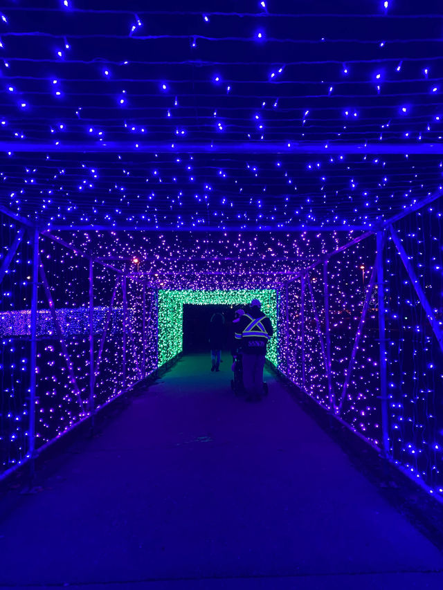 【コキットラム🇨🇦】冬の公園でイルミネーションを楽しもう⭐️
