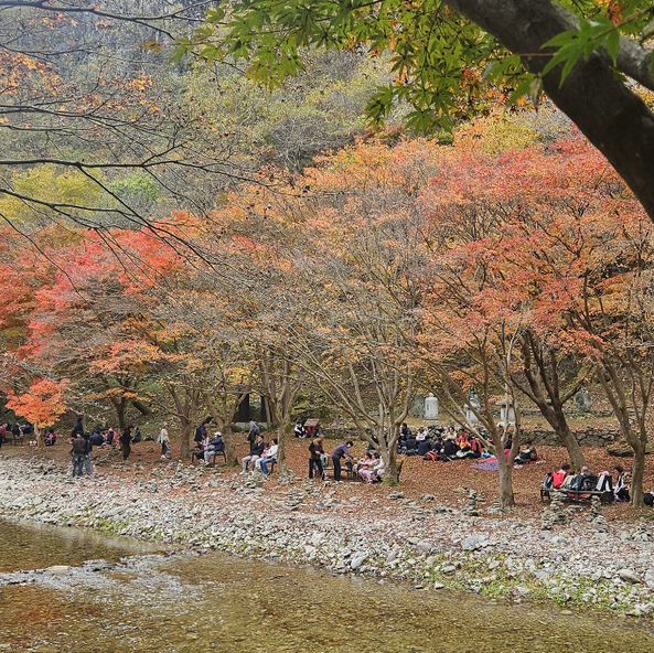 등산하기 좋은곳