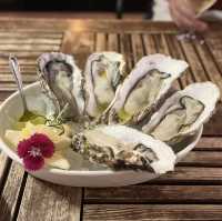 【沖縄 北谷】人気の海鮮イタリアンのお店🐠