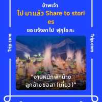 เที่ยวชมทุ่งคอสมอสที่ Margaret Private Villa 
