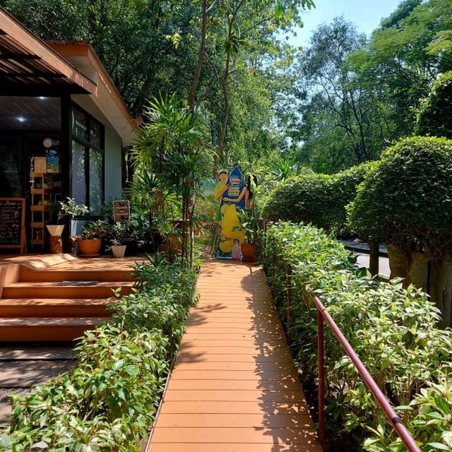 คาเฟ่ลับ กลางเขานางพันธุรัต 