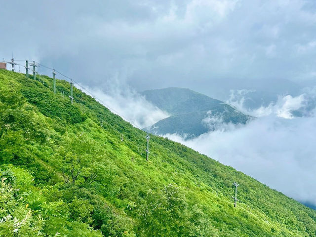 Thrilling Adventures at Happoone Hakuba