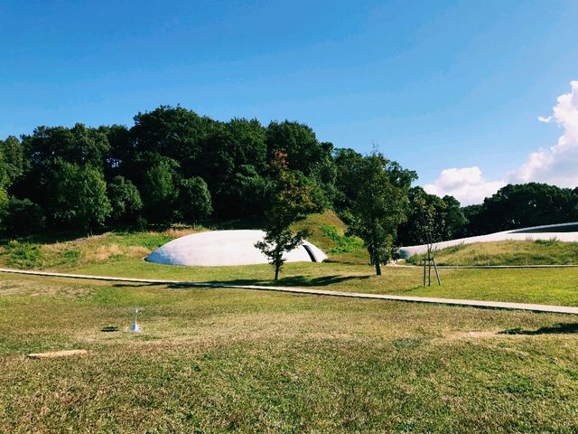 【香川×豊島美術館】自然とアートが融合する癒しの空間