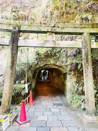【神奈川県/鎌倉　“境内の湧き水で銭を洗うと富が増える”と言われている『銭洗弁財天 宇賀福神社』】