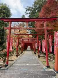 「負けきらい」の神社で