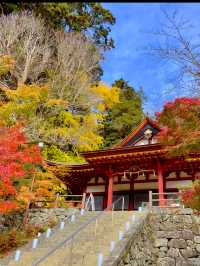 奈良観光🦌十三重塔と紅葉のコラボが素敵な談山神社⛩️