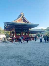 【神奈川県/鎌倉　生命力を感じる”大銀杏”の紅葉が美しい『鶴岡八幡宮』】