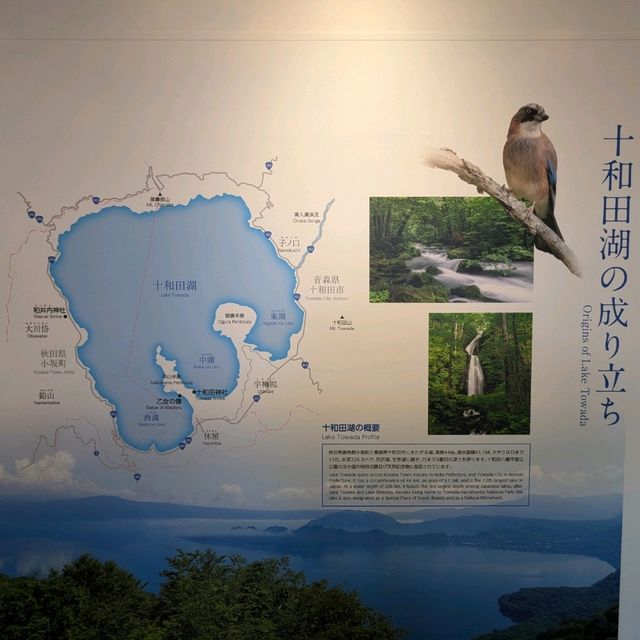 十和田湖姬增之裡展示室，帶你領略小坂町的生態魅力