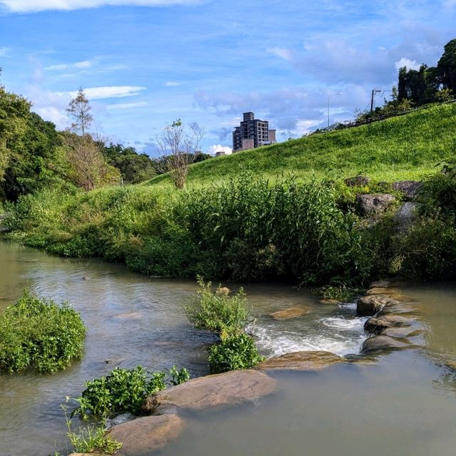 台北最佳親水步道：內湖大溝溪生態治水園區