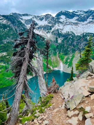 Maple Pass Loop: A Washington Wonderland