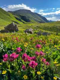3 Reasons Why You Need to Go Hiking in Colorado