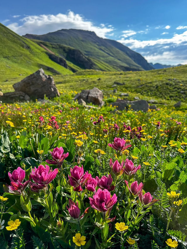 3 Reasons Why You Need to Go Hiking in Colorado