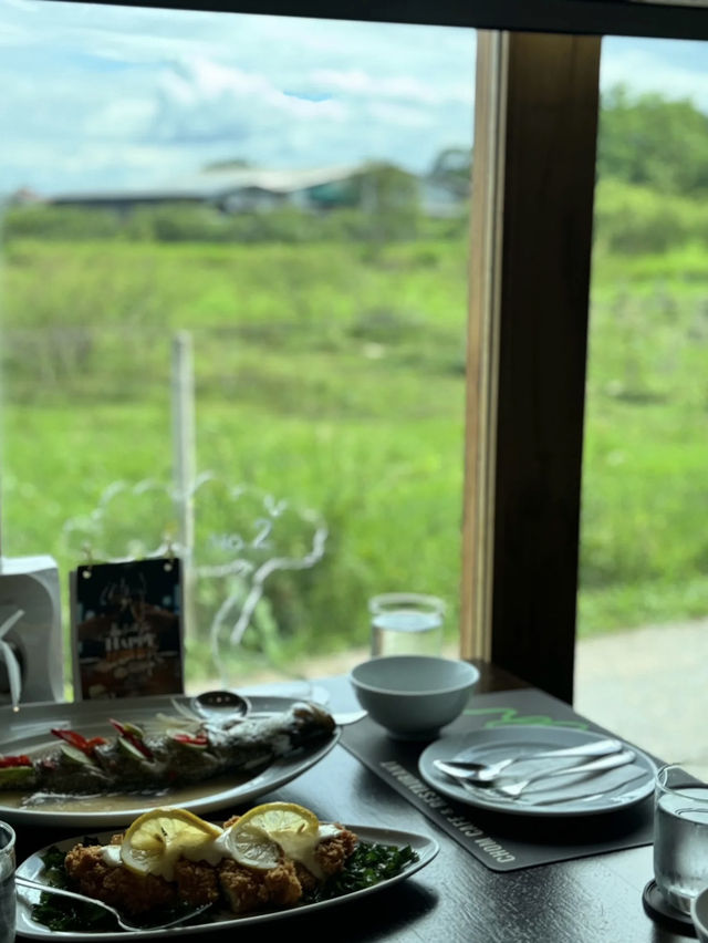 Chom Cafe & Restaurant: Where Flavor Meets Chiang Mai Charm
