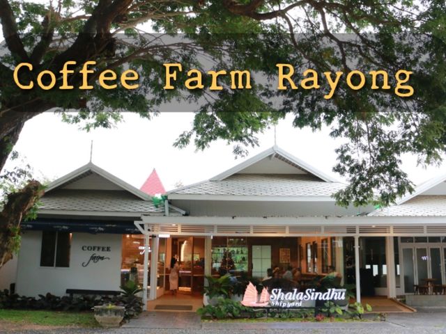 Coffee Farm Rayong คาเฟ่