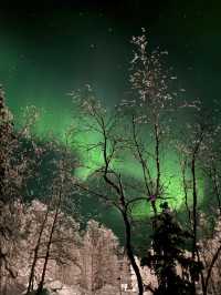 Chasing Aurora in Mohe: The Coldest Light Show You’ll Ever See