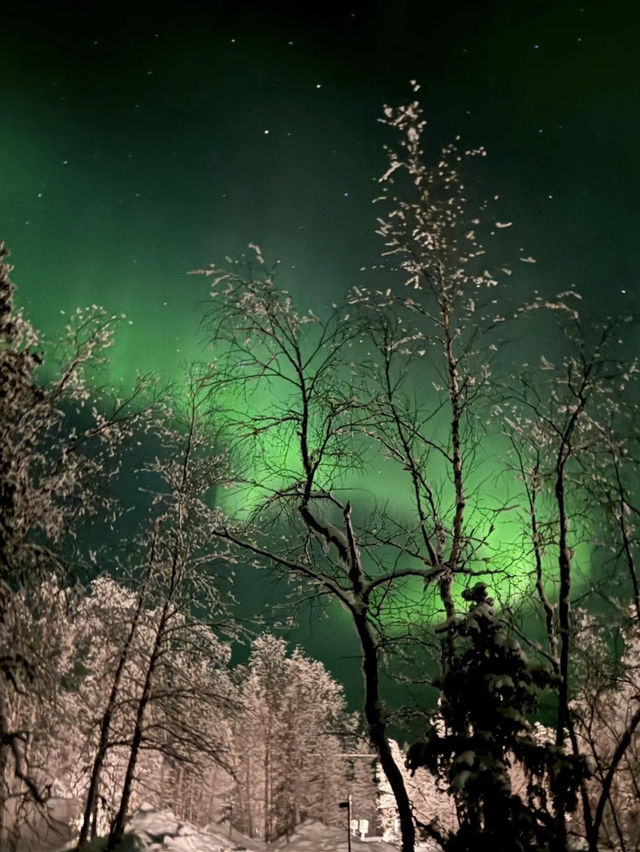 Chasing Aurora in Mohe: The Coldest Light Show You’ll Ever See