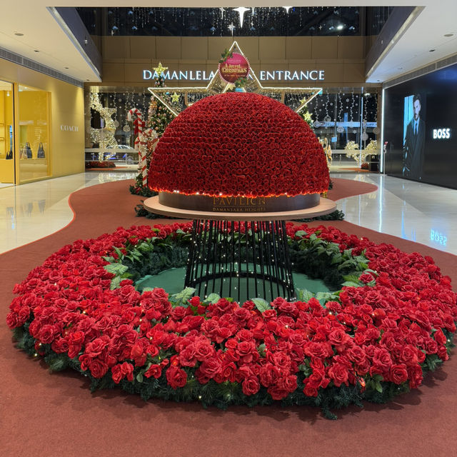 A must-visit spot to light up your Christmas! ✨