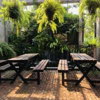 คาเฟ่ย่านนนทบุรี