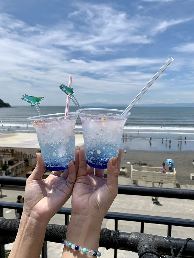 Perfect for summer! Enoshima Aquarium🐠