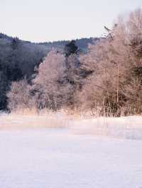 【冬の阿寒湖】美しい北海道のおすすめスポット