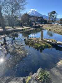 🇯🇵忍野八海｜遊富士山融雪湧泉🏔️