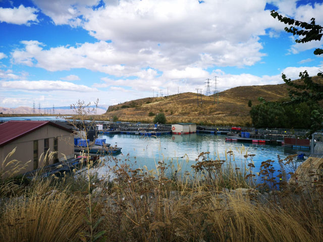 🏞️ 新西蘭最美的湖水和三文魚養殖場