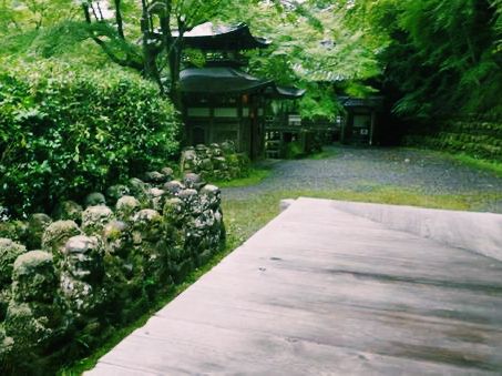 京都🇯🇵 愛宕念佛寺