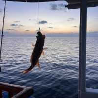 Great experience in sunset fishing