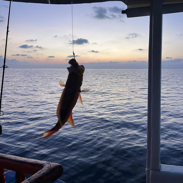 Great experience in sunset fishing