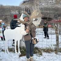 Reindeer park in Anchorage