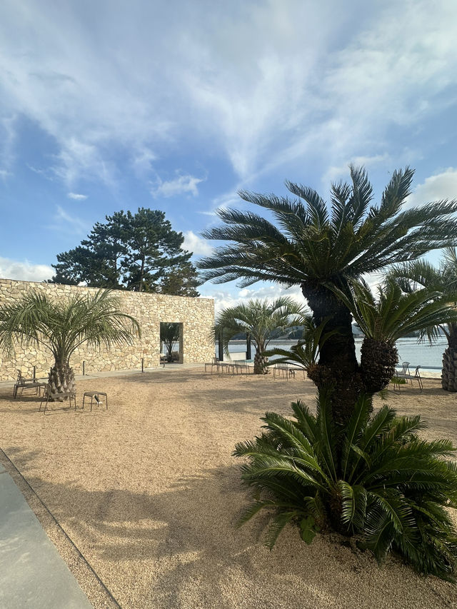 🌴🌊 거제도의 숨은 보석, 카페 씨야드(SEAYARD)