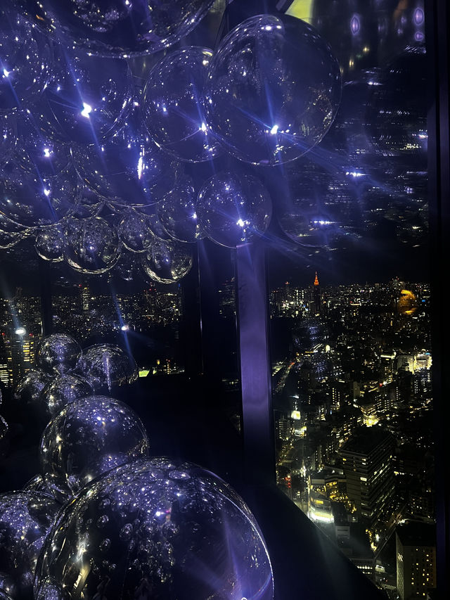 【東京🇯🇵】美しい東京の夜景を🌃