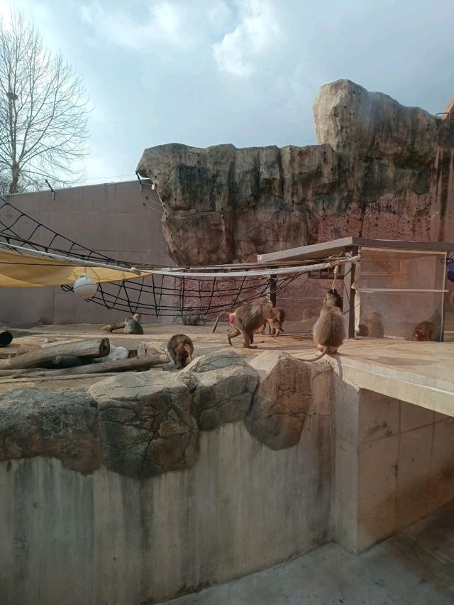 首爾親子遊 - 首爾動物園