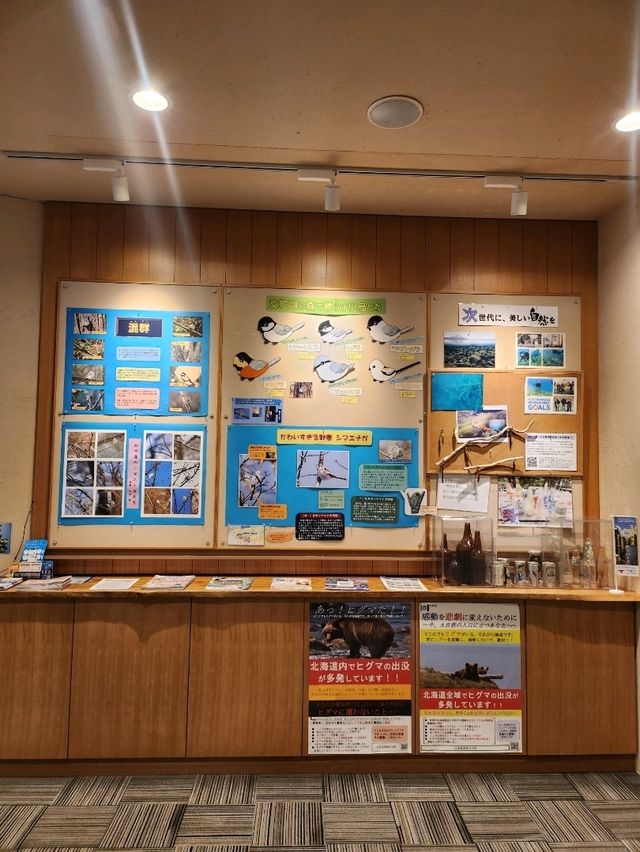 감각적인 건물이 돋보이는 시코츠관광안내소🧡