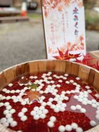 【福島】赤べこおみくじがかわいい♥️東北のパワースポット