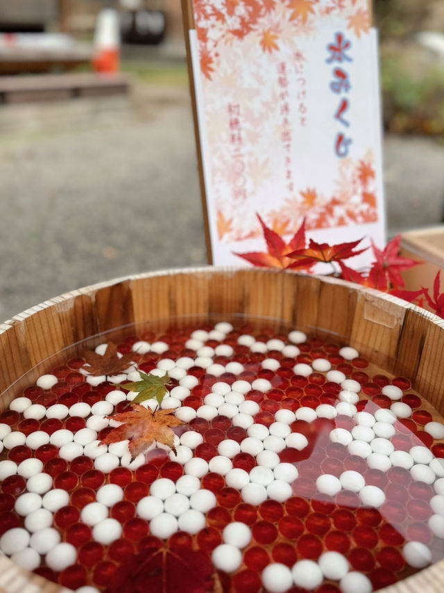 【福島】赤べこおみくじがかわいい♥️東北のパワースポット
