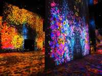 The teamLab SuperNature Macao