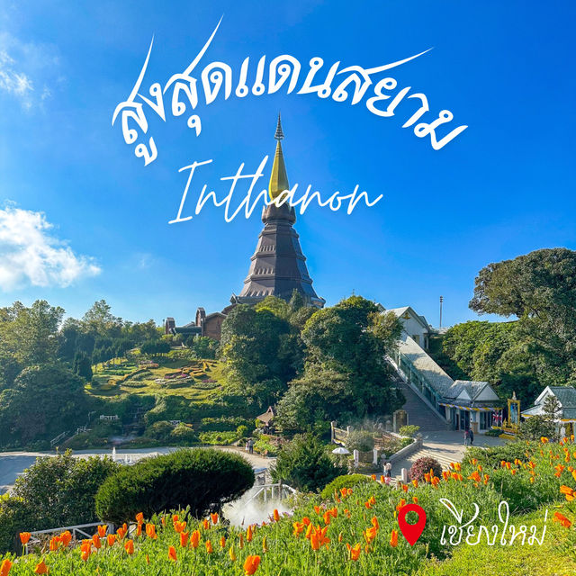 สูงที่สุดในสยาม 🇹🇭 กับดอยอินทนนท์ เชียงใหม่