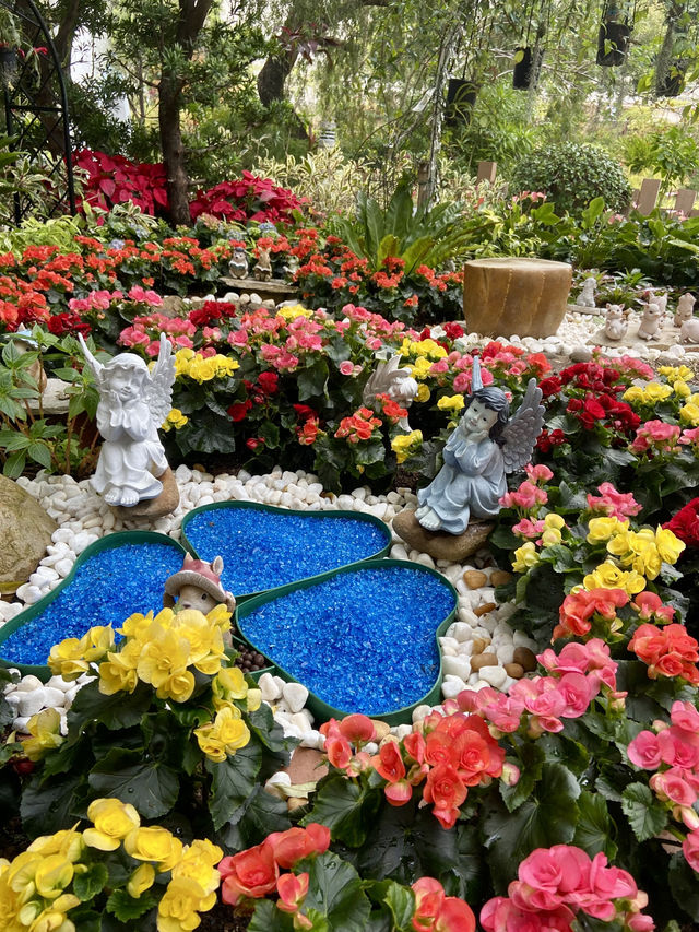 🏝️😎如熱帶雨林般的「城門谷公園」｜香港賞花拍照好地方🔥🏞️