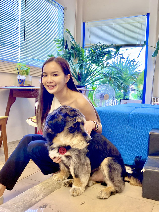 จิบกาแฟ พร้อมเล่นกับเจ้า 4 ขา ที่ Neighbor Dog