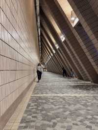 HongKong Cultural Centre จุดถ่ายรูปยอดฮิตที่ฮ่องกง