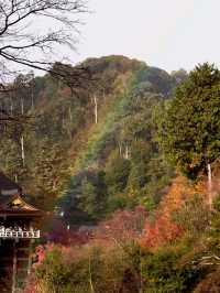First Snowfall at Kiyomizudera: A Magical Winter Scene with Rainbow and Sunset