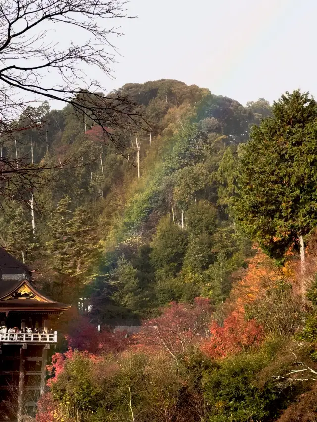 First Snowfall at Kiyomizudera: A Magical Winter Scene with Rainbow and Sunset