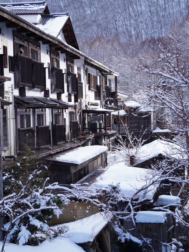 【栃木×湯西川】  古民家と本家判久が見られる赤い橋 雪景色が素晴らしい