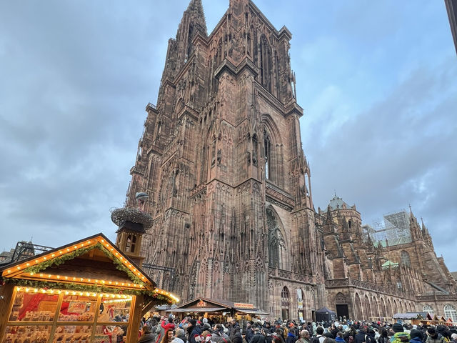 Family Road Trip Creating Moments at Germany, Switzerland and France
