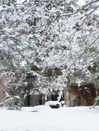 【宮城×冬の旅】  神聖な雰囲気  霊場の島