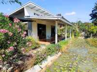 Hana Cafe ฮานะคาเฟ่ นางรอง บุรีรัมย์