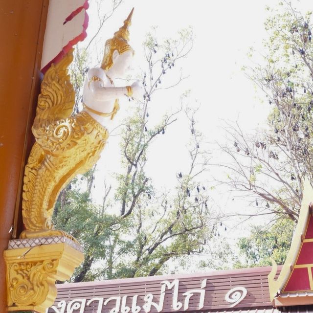 👋 เที่ยววัดเก่าแก่ วัดขนอนใต้