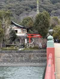 🍵 A Day Trip to Uji: Japan’s Matcha Paradise & Stunning Temples ⛩️